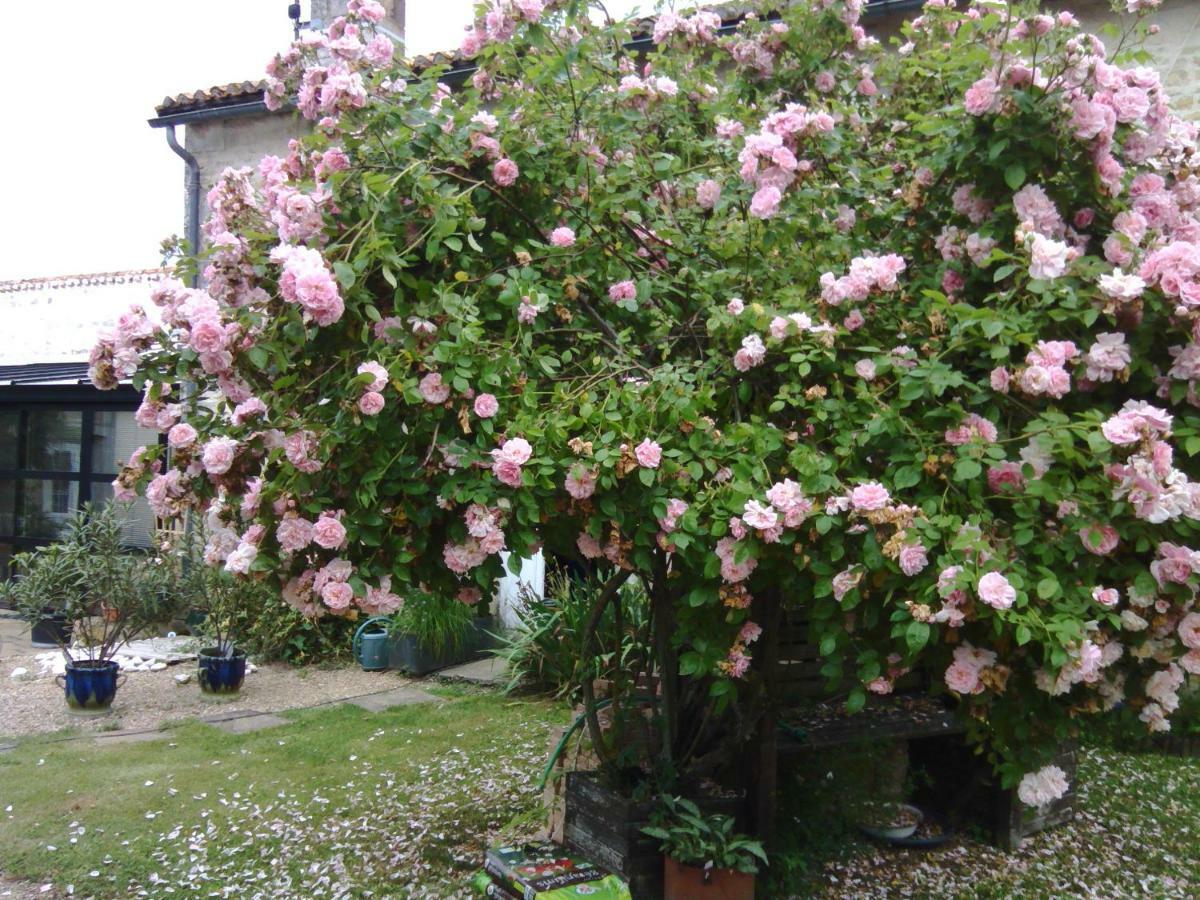 La Rosaliere Bed and Breakfast Chabournay Buitenkant foto